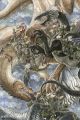 2021年2月1日 (一) 19:05版本的缩略图